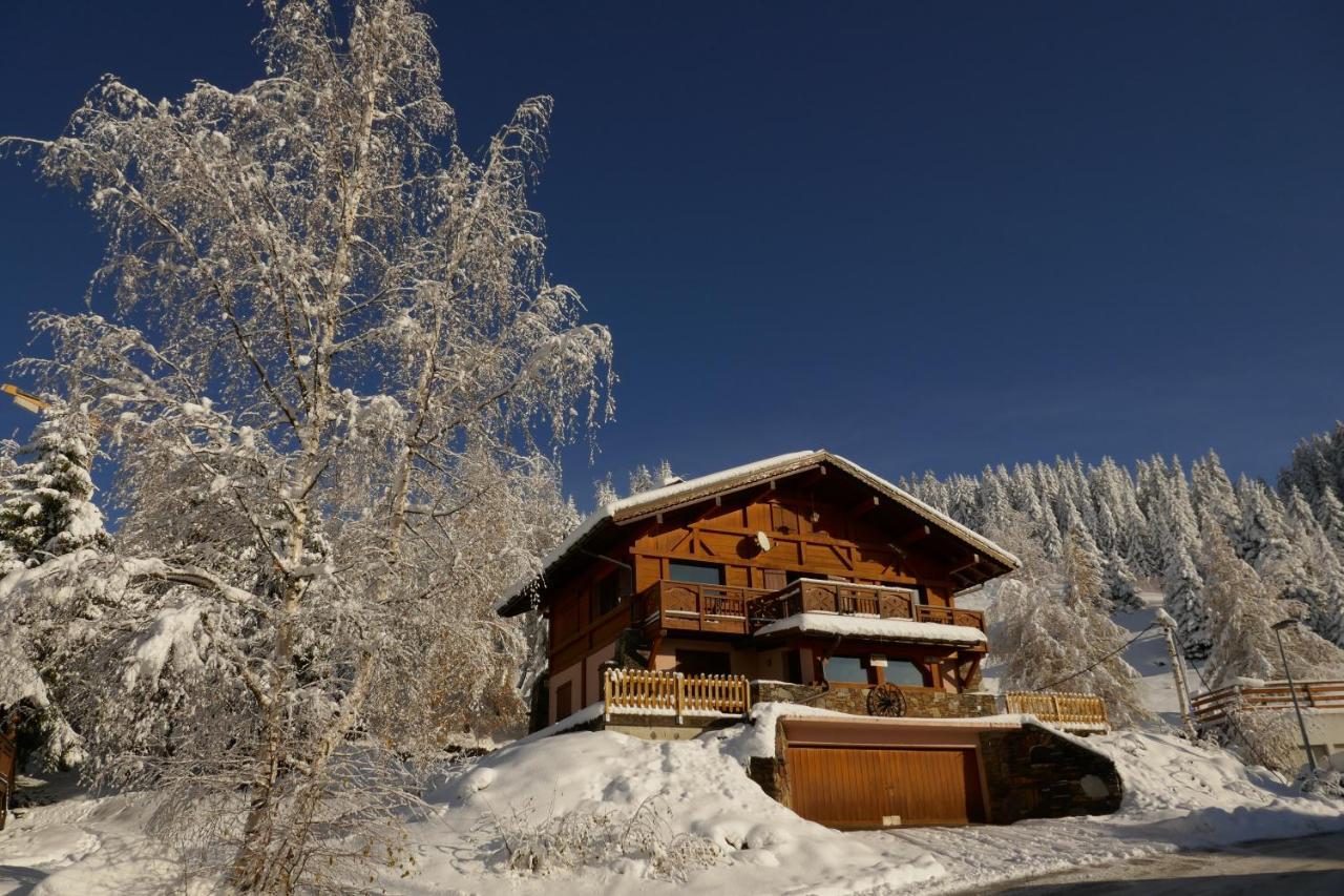 Les Saisies Cote Bisanne Appartement Dans Chalet Le Nepal Exterior foto